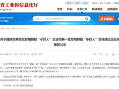 喜獲殊榮！虹潤公司榮膺國家專精特新“小巨人”企業稱號