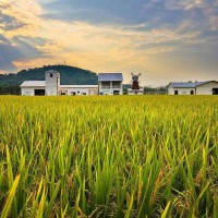 2023中國鄭州國際有機(jī)食品產(chǎn)業(yè)展覽會