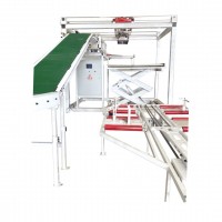 全自動(dòng)高位碼垛機(jī)器人定制碼垛機(jī)設(shè)備