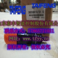 泰豐直動式溢流閥DBDS10K現貨批量供應