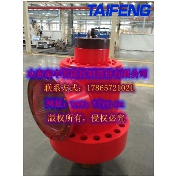 CF2-DG24-H*B-NX型充液閥通徑100-40