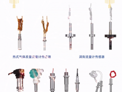 威海興東儀表有限公司 總經理 張雪萌 2023年新春寄語