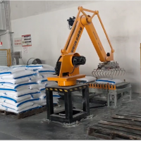 全自動高性能碼垛機(jī)器人