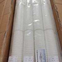 10寸折疊濾芯 PP棉微孔折疊濾芯 0.1/0.22