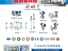 煙臺奧特儀表的優勢及其儀表行業的地位