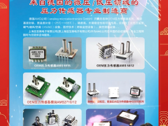 上海蕓圣微電子有限公司 總經理 施林生  2024年新春寄語