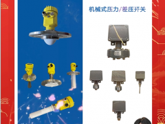 北京北方華瑞測控技術有限公司 銷售總監 楊子 2024年新春寄語