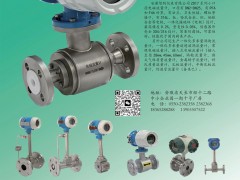 安徽智的儀表入刊上海世環會特刊《儀表與測量控制》系列客戶報道20