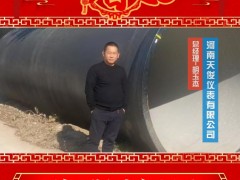 河南天俊儀表有限公司 總經理 胡玉杰 2025年新春寄語