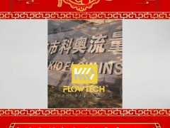 寧波市科奧流量儀表有限公司總經理 陳新亮 2025年新春寄語