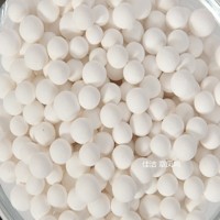 ?吸附劑JL-X-007A-001 吸附劑01002316